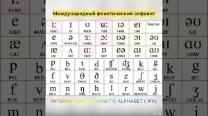 Что такое ТРАНСКРИПЦИЯ? международный учитель английского языка, Елена Мурзина