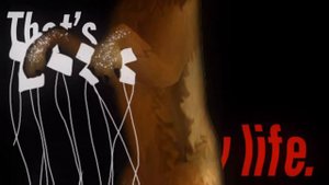 ❕Dizzy WildCraft meme (old)