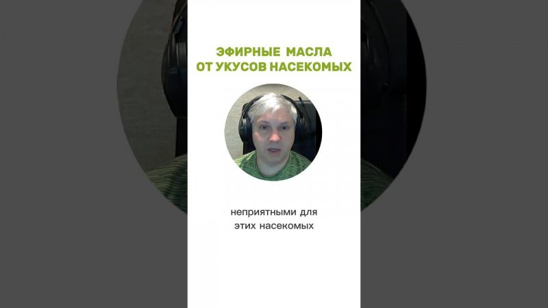 Эфирные масла от насекомых: какие отпугивают и помогают при укусах