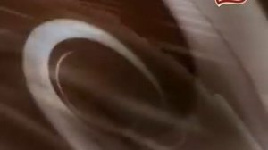 Nestle Золушка