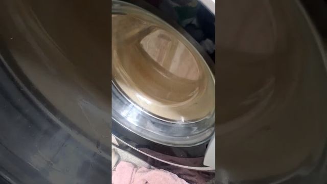 Hotpoint NSWR843C 2nd Spin