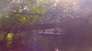 Черная ганча.