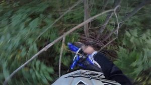 X Moto Raptor 250 без тормозов