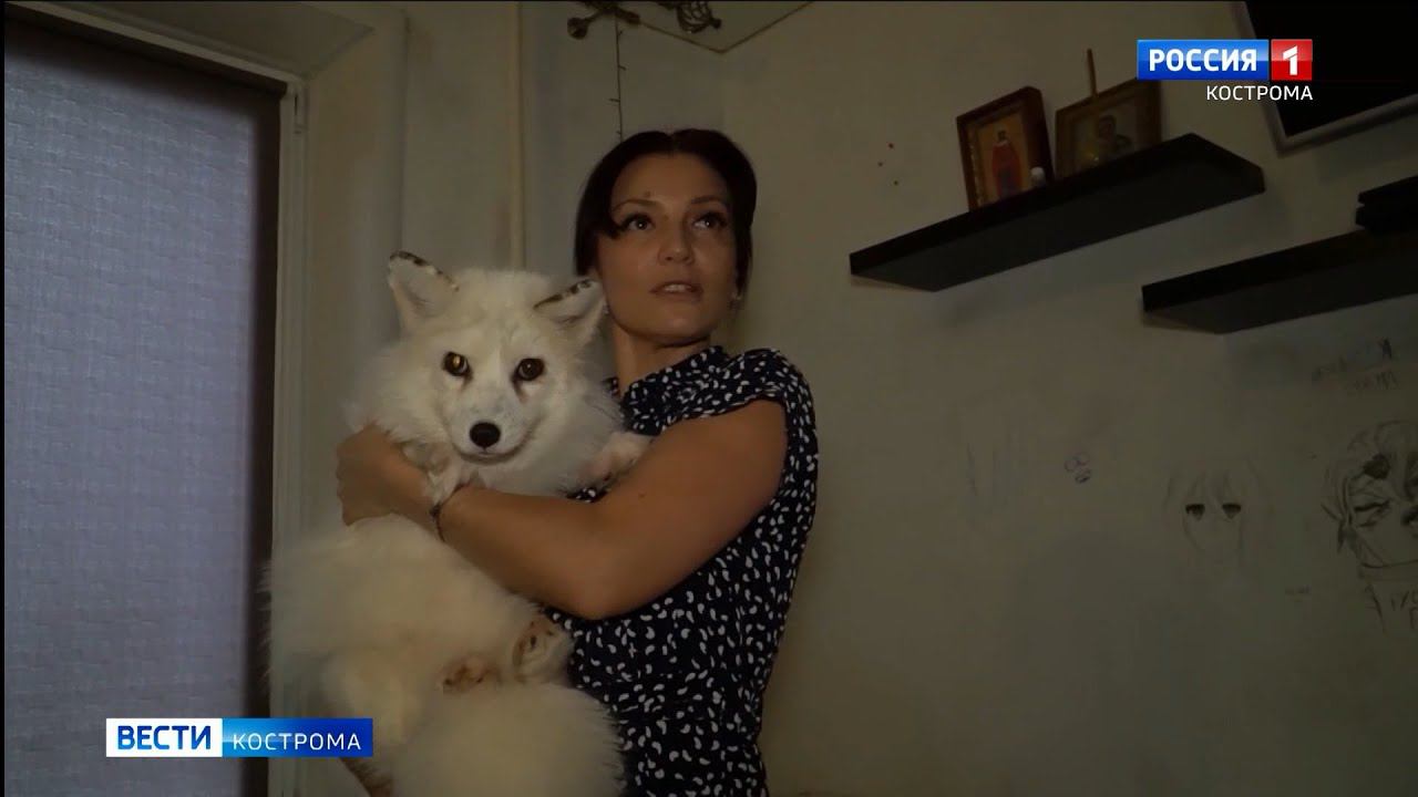 Дом костромички стал приютом для 19 животных