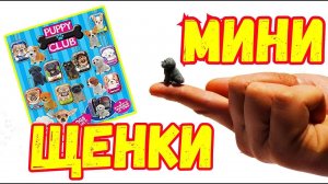 Игрушка сюрприз PUPPY CLUB / КЛУБ ЩЕНКОВ собери всю коллекцию!