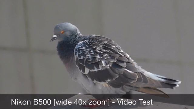 NIKON B500 - Video and Photo Test |2020| смотреть онлайн