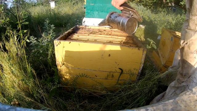 Борьба с роением. Выводом семьи из роевого состояния смотреть онлайн