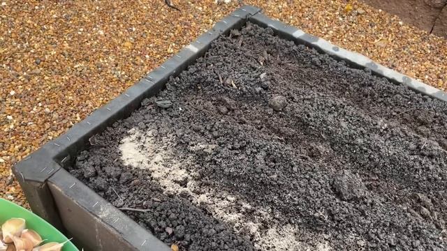 3 ВАЖНЫХ правила при ПОСАДКЕ ЧЕСНОКА! смотреть онлайн