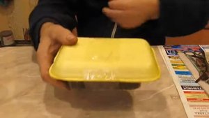 Стратификация семян хурмы виргинской