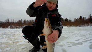 24 11 20  Ловля щуки на Вибы и Мебару, Норфин Дискавери 2