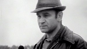 1979 год. Абатский район. Совхоз Абатский