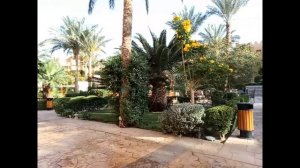 Отель Rehana Royal Beach Resort& Spa 5 * - Египет, Шарм Эль Шейх | Полный обзор