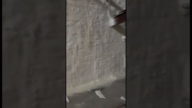 Монолитное утепление для вашего производства/склада #ппу #утеплениедома #теплоизоляция смотреть онлайн