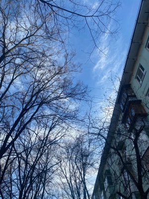 Премьер-Министр Девочка С Севера (by ARSHEGOR)