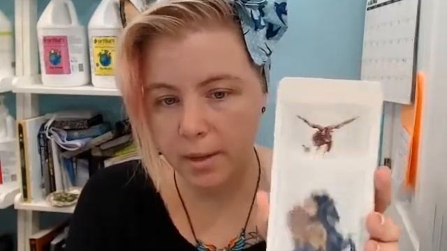 Uusi Pagan Otherworlds First Impressions смотреть онлайн