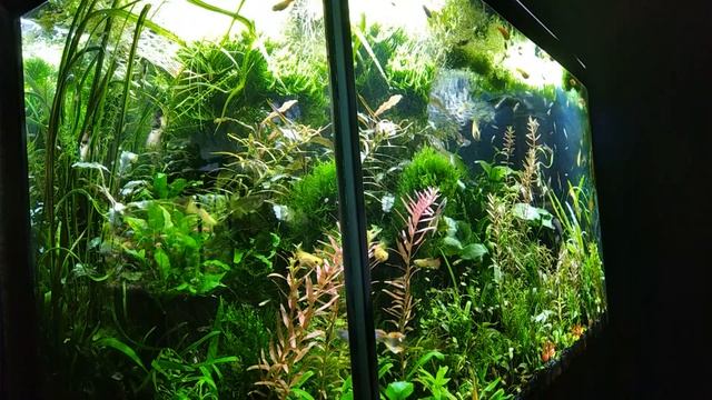 #Лайфхак. Понижаем #КН и #РН воды сразу из #крана. смотреть онлайн