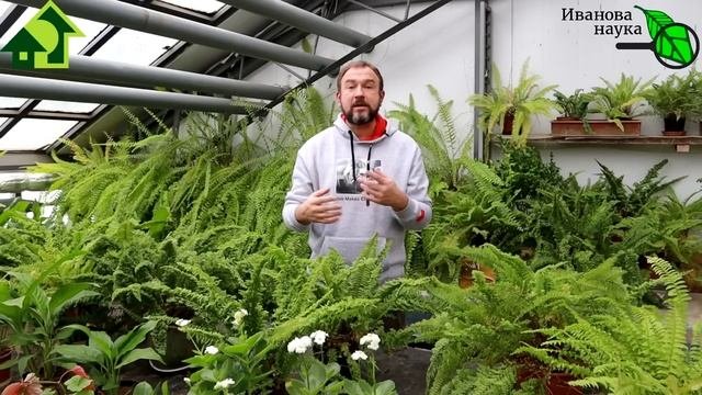 10 РАЗ ПОДУМАЙТЕ, ПРЕЖДЕ ЧЕМ САЖАТЬ ЭТИ РАСТЕНИЯ! Растения-почвожоры сожрут вашу землю!