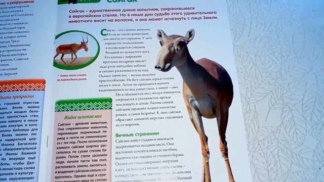Моя страна Собери Карту России от Hachette Выпуск № 91/ My country Collect the Map of Russia