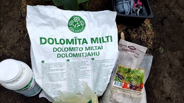 Вершинная гниль на перцах. Профилактика вершинной гнили перцев и томатов.