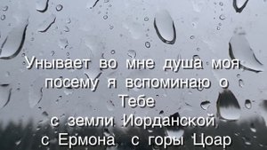 Псалом 41 (КАК ЛАНЬ ЖЕЛАЕТ К ПОТОКАМ ВОДЫ) … читать под музыку (Анна Юркин)