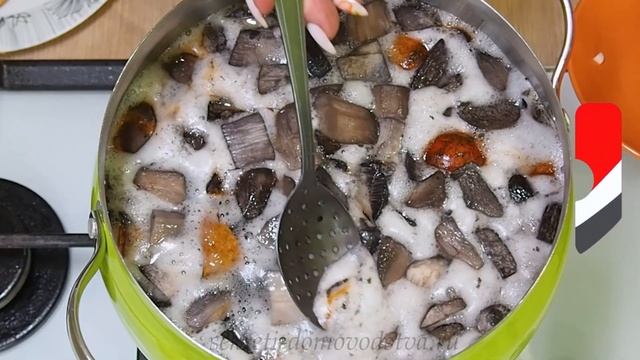 Грибной Суп с Вермишелью и Картофелем из Свежих Грибов