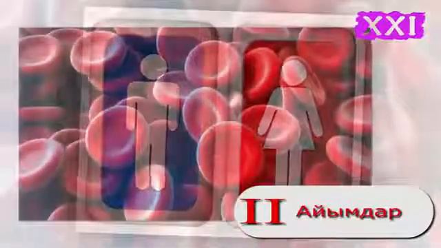 Кан группалары смотреть онлайн