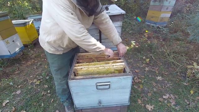 "КВІТКА" сезону 2021. смотреть онлайн