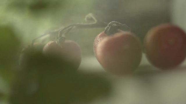 Видеореклама суши-бара "Sakura" by ICH смотреть онлайн