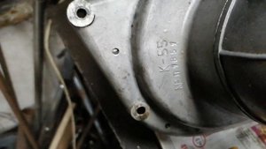 Ковровец яшка на газете.