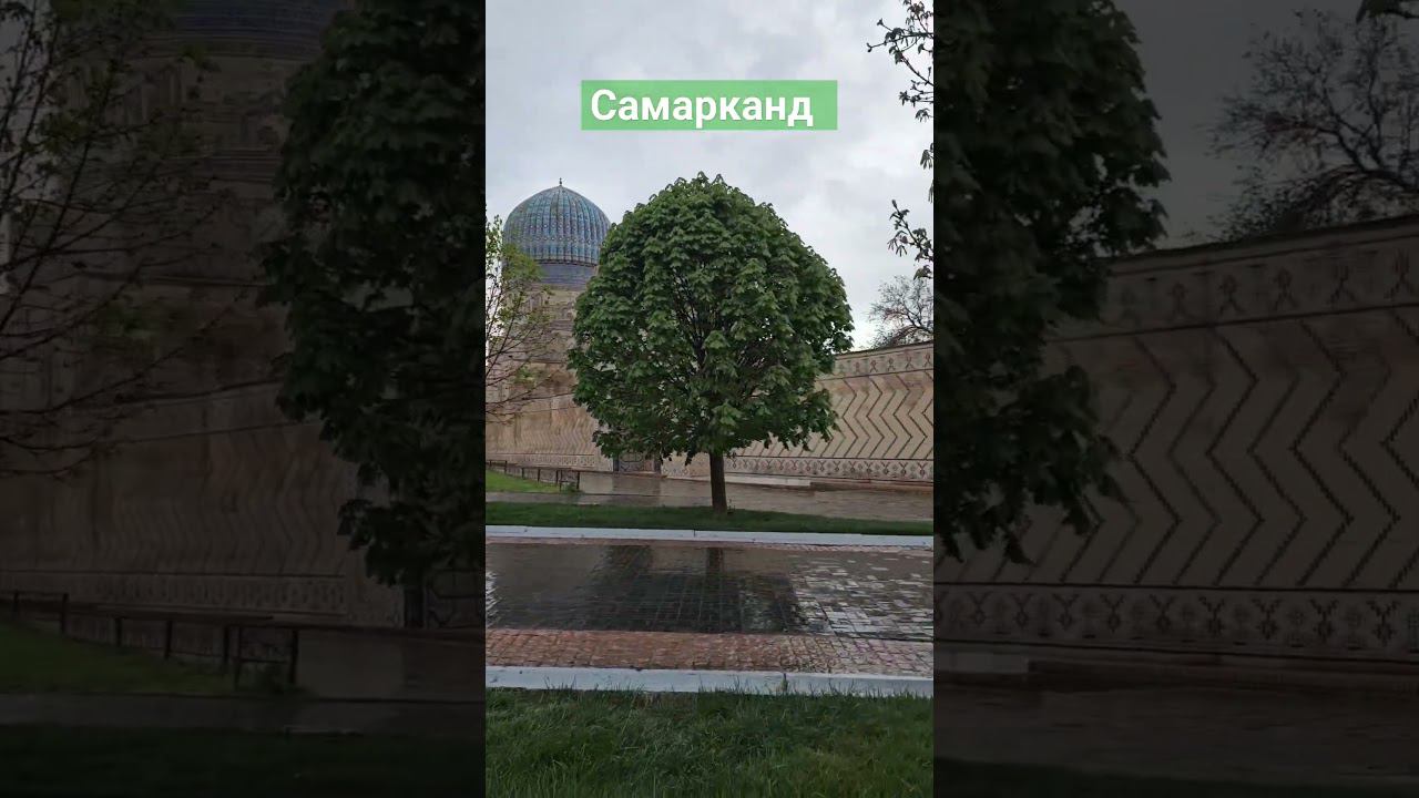 гуляем после дождя #пешкомпомиру #пешкомпогороду #пешкомпосамарканду #travel