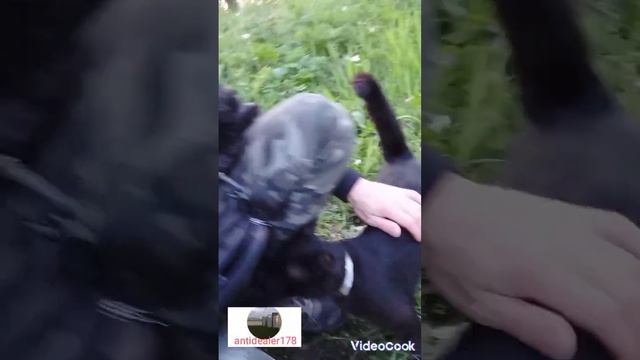 Приехал на рыбалку с котом. 10 ошибок начинающих смотреть онлайн