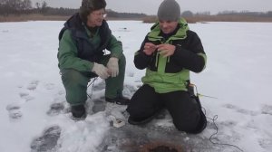 ДУМАЛИ СОМОВЬЯ ЯМА, А ОНО... НАШЛИ ЛУНКИ С РЫБОЙ!!! РЫБАЛКА на ЖЕРЛИЦЫ 2024 в КАМЫШАХ