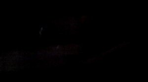 Перегон Марьино - Братиславская