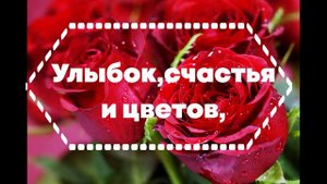 С днём рождения!