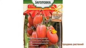 Томат обыкновенный Розовый Агат (rozovyy agat) ? обзор: как сажать, семена томата Розовый Агат