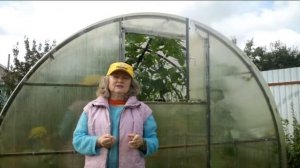 119_ Такой красивый перец!  Август. Уход за перцем. Очень просто.