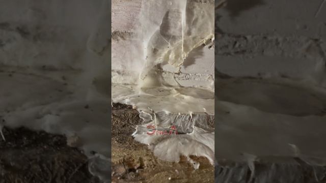 Отделка заплесневевшего погреба финишным декоративным покрытием «Эгида» | Часть 1 смотреть онлайн