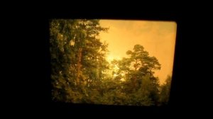 Диапроектор ЭТЮД. Обзор и демонстрация слайдов