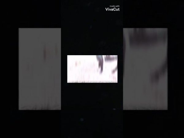 Для канала Лошади эта чудо. Клип по сериалу Мафия.
