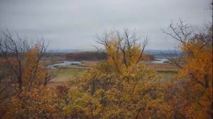 Буктрейлер "Рассказы о природе"