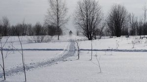 Самодельный снегоход на гусенице.