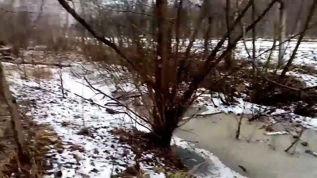 Экологический каламбур в Брянске смотреть онлайн