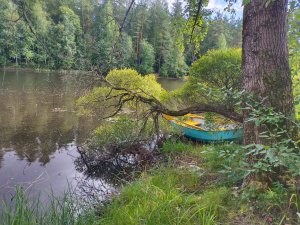 Продажа участка ИЖС, 28 соток, п. Левашово