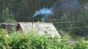 звуки в деревне утром