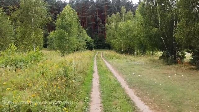 Если бы ГРАБИТЕЛИ знали, кто живёт в доме у старика. Они бежали бы оттуда сверкая пятками от страха смотреть онлайн