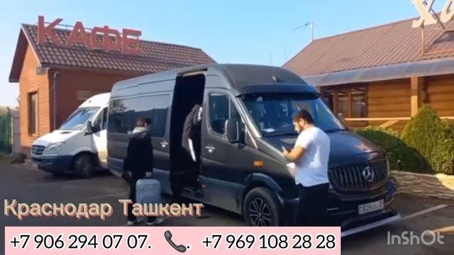 #краснодар #ташкент #автобус смотреть онлайн