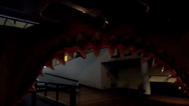 Cape Town | Museum & Gardens смотреть онлайн