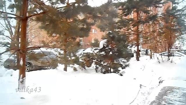 Пришла   Красавица Зима  Прогулка в зимний вечер Природа родного края