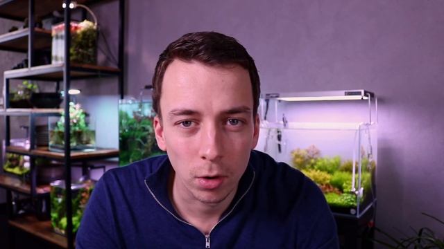 AQUARIUM ALGAE GUIDE Ep #4 Cyanobacteria - Blue Green Algae Removal