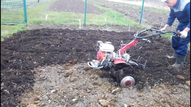 запахиваю навоз фрезой под картофель смотреть онлайн